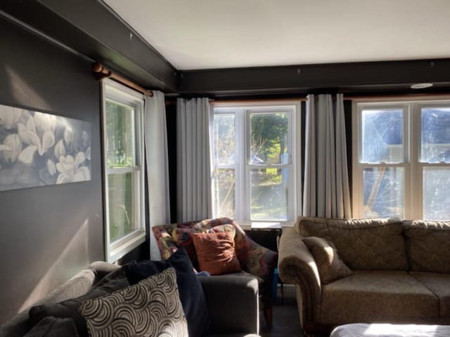 living room featuring plenty of natural light