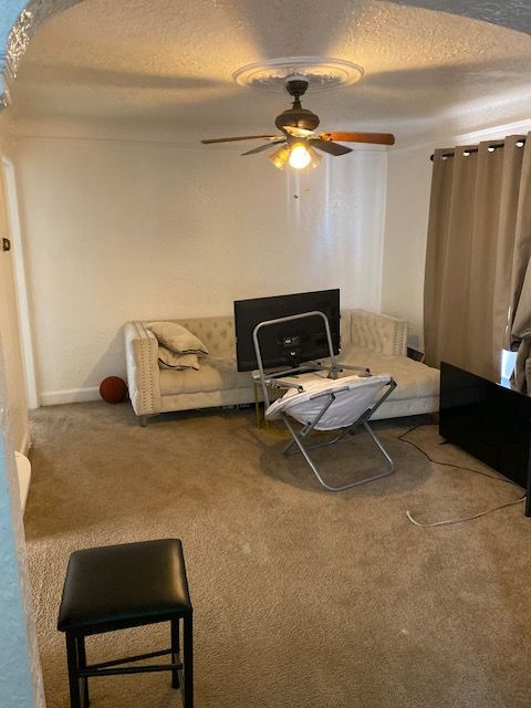 carpeted living room with ceiling fan and a textured ceiling