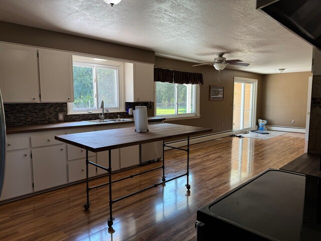 2065 S Lapeer Rd, Lapeer, MI 48446 - kitchen featuring a sink, a baseboard heating unit, backsplash, a textured ceiling, and dark wood-style flooring