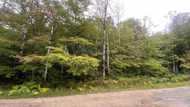 Listing photo 3 for LOT187 Wilderness Dr, Mancelona MI 49659