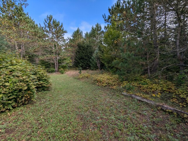 3290 Riverview Dr, Hersey, MI 49639 - view of yard with a forest view