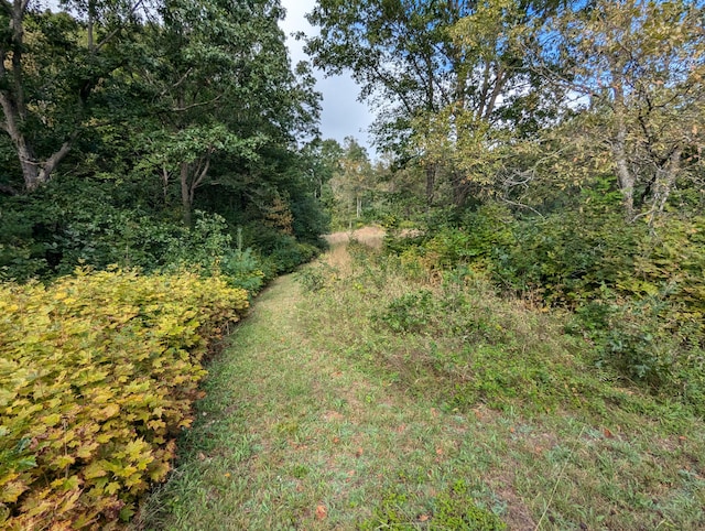 view of landscape