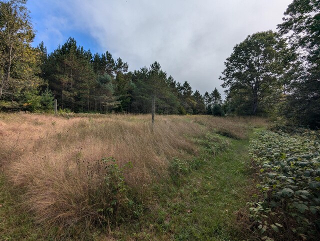3290 Riverview Dr, Hersey, MI 49639 - view of woods