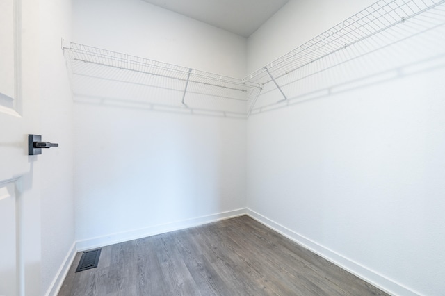 walk in closet featuring wood-type flooring