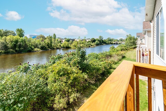 717 Tioga Park Unit 717, Big Rapids, MI 49307 - water view