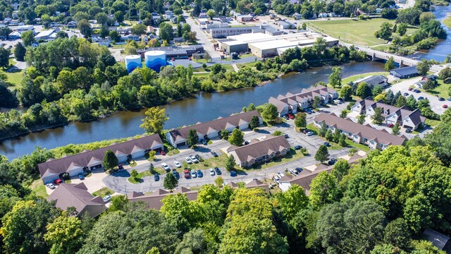 717 Tioga Park Unit 717, Big Rapids, MI 49307 - aerial view of residential area with a large body of water and a tree filled landscape