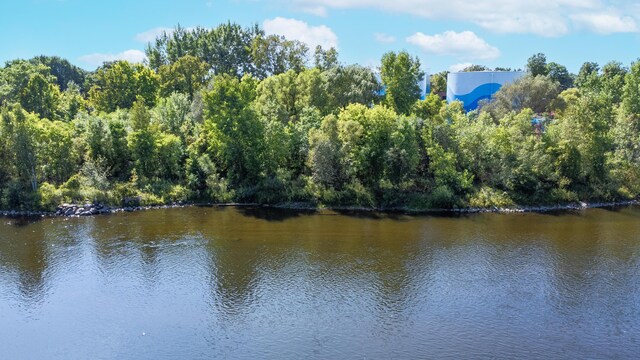 717 Tioga Park Unit 717, Big Rapids, MI 49307 - water view featuring a forest