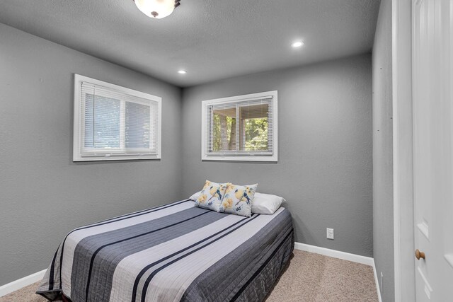1620 Little Dr, Horton, MI 49246 - carpeted bedroom with baseboards, recessed lighting, and a textured ceiling