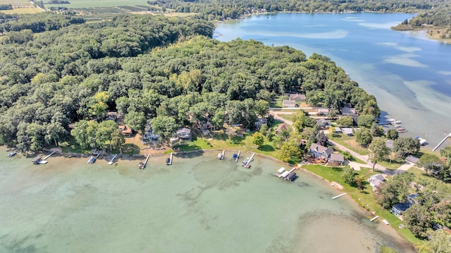 bird's eye view with a forest view and a water view