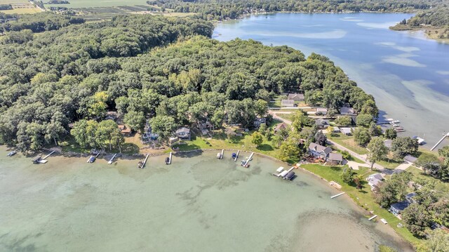 1620 Little Dr, Horton, MI 49246 - aerial view of property's location with a large body of water and a heavily wooded area