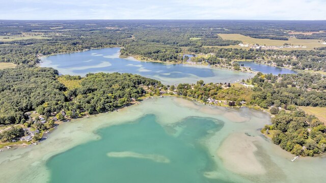 1620 Little Dr, Horton, MI 49246 - bird's eye view of a heavily wooded area and a large body of water