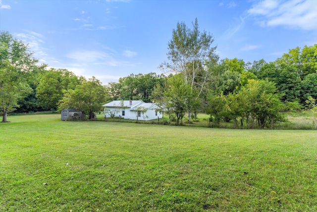 view of yard featuring a storage shed