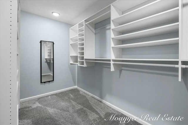 spacious closet with carpet floors