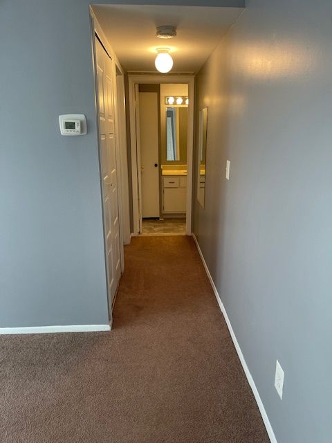 hallway featuring carpet floors