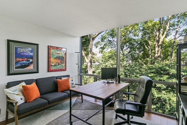 office featuring light wood-type flooring and plenty of natural light