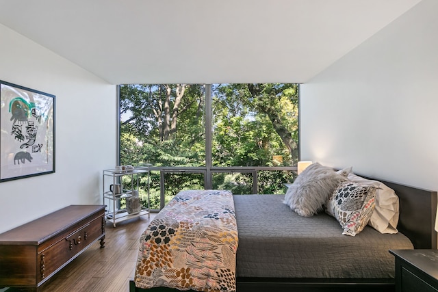 bedroom featuring multiple windows, dark hardwood / wood-style flooring, and expansive windows