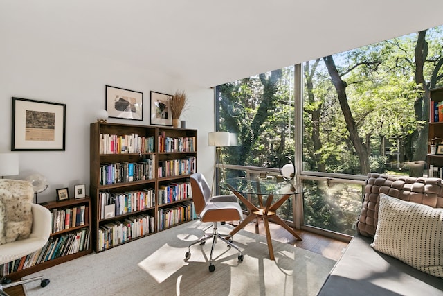 interior space featuring plenty of natural light