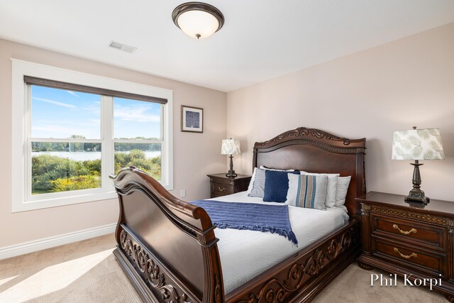 250 Shore Dr, Wayland, MI 49348 - bedroom with light colored carpet, baseboards, and a water view