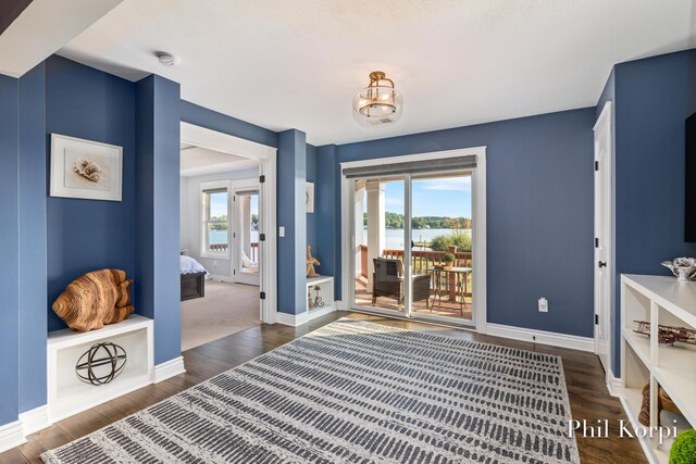 250 Shore Dr, Wayland, MI 49348 - entrance foyer featuring baseboards and wood finished floors