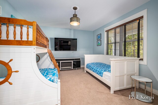 250 Shore Dr, Wayland, MI 49348 - carpeted bedroom with baseboards
