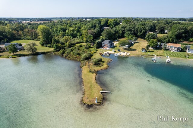 250 Shore Dr, Wayland, MI 49348 - view of property location with a nearby body of water