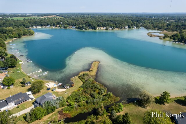 250 Shore Dr, Wayland, MI 49348 - aerial view of property's location with a heavily wooded area and a nearby body of water