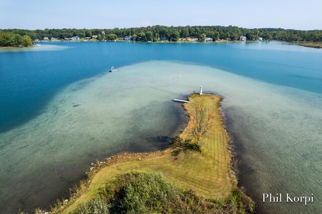 250 Shore Dr, Wayland, MI 49348 - aerial view of a nearby body of water