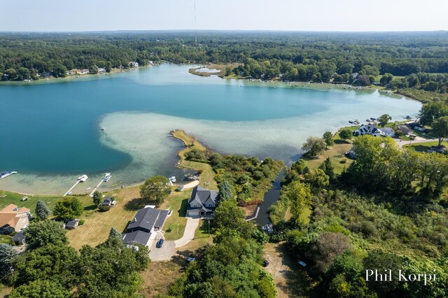 250 Shore Dr, Wayland, MI 49348 - aerial view of a heavily wooded area and a large body of water