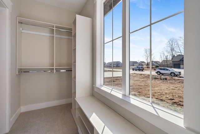 walk in closet with carpet floors