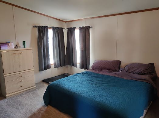 bedroom with crown molding and light colored carpet