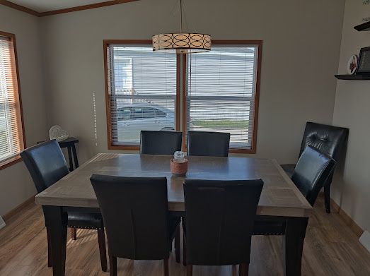 dining space featuring wood-type flooring and a healthy amount of sunlight