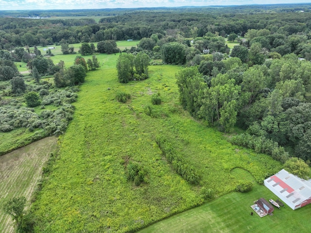 birds eye view of property with a forest view