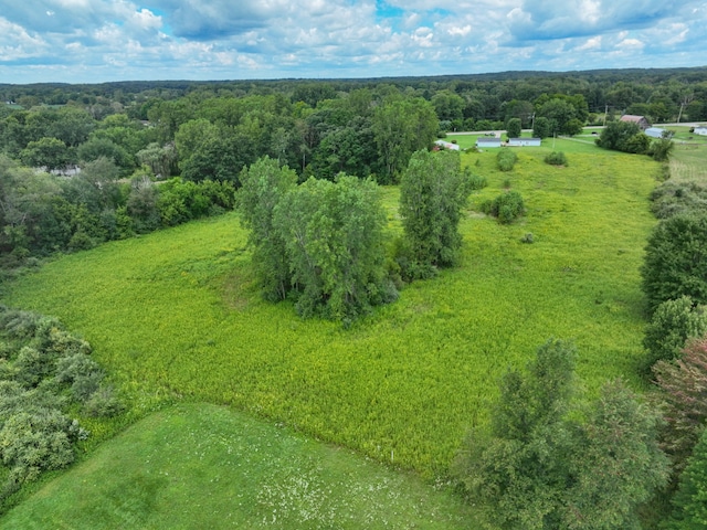 bird's eye view featuring a wooded view