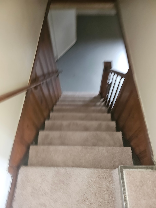 staircase featuring carpet flooring