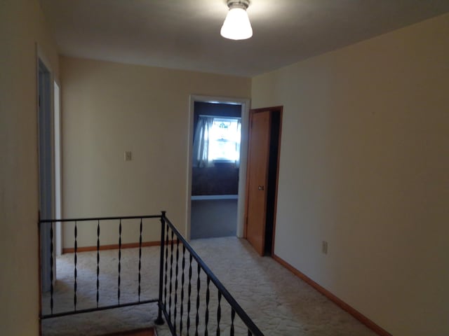 staircase featuring carpet