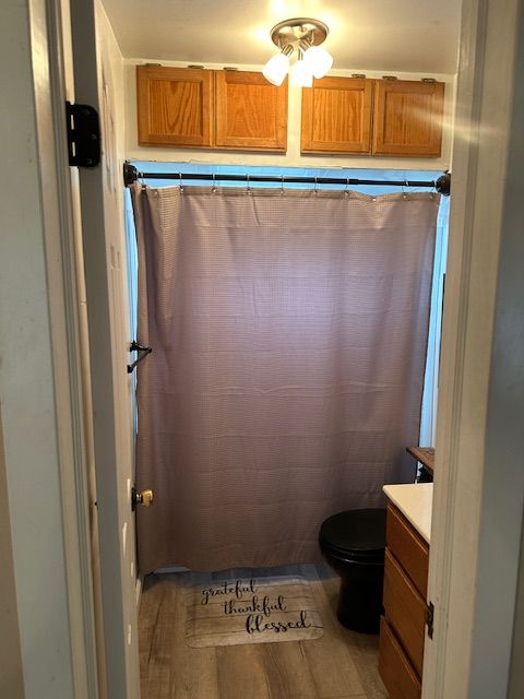 bathroom with hardwood / wood-style flooring, vanity, and toilet