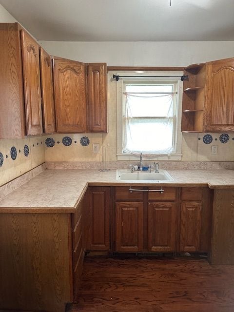 kitchen featuring sink and dark wood-type flooring