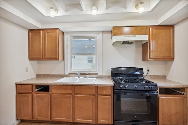 kitchen featuring sink and black range with gas cooktop