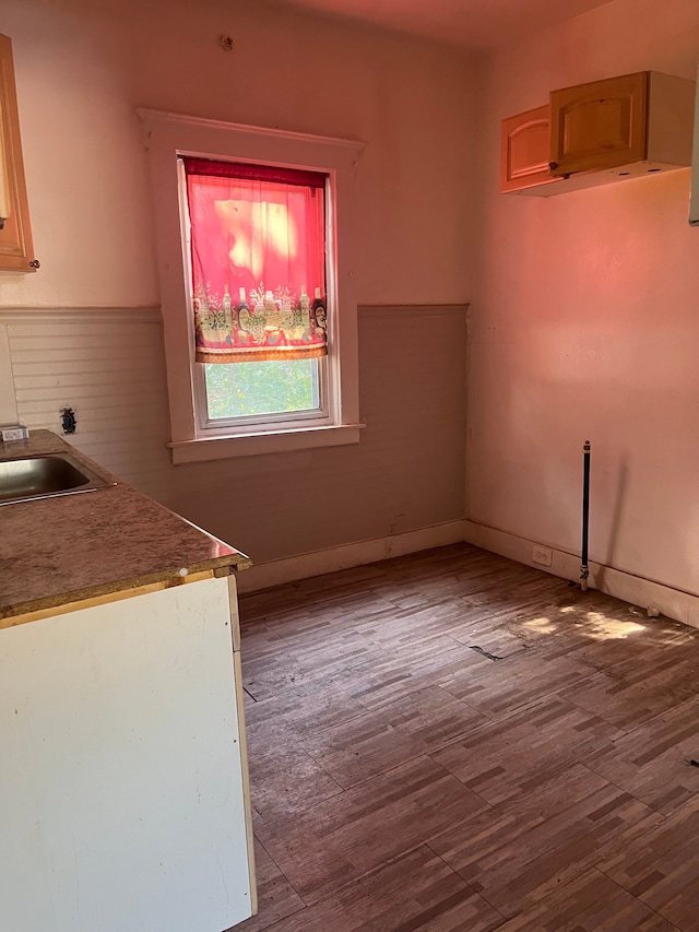 kitchen with hardwood / wood-style floors, light brown cabinets, and sink