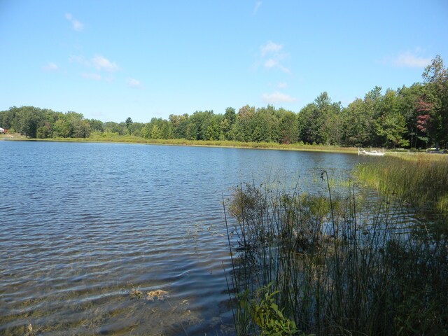 115 S Emerson Dr, Branch, MI 49402 - water view with a forest
