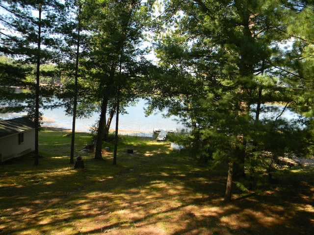 view of yard with a water view