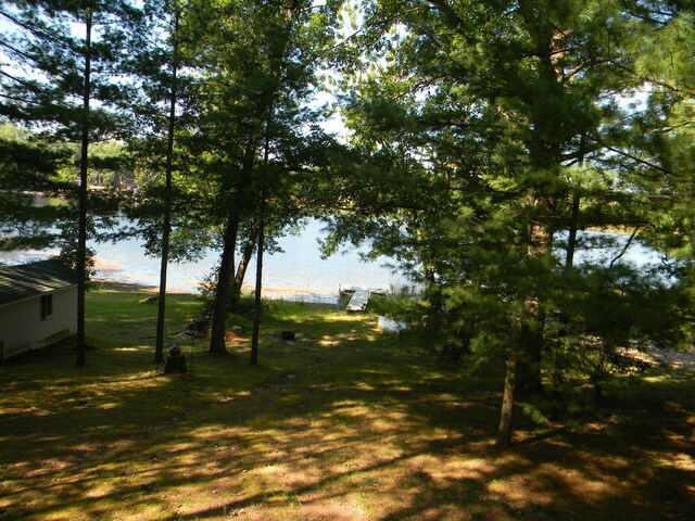 115 S Emerson Dr, Branch, MI 49402 - view of yard