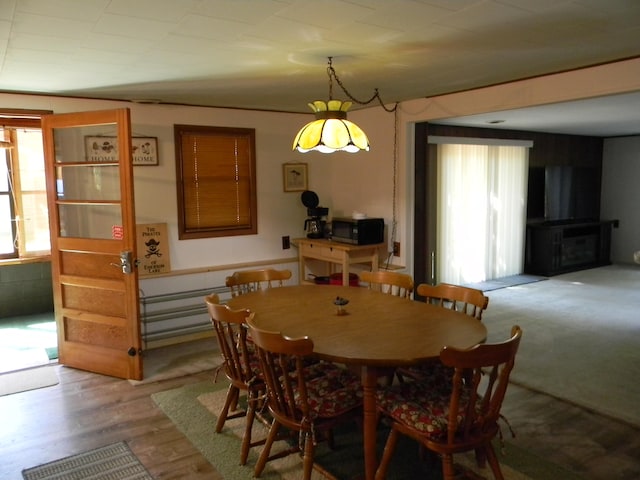 dining space featuring plenty of natural light and light hardwood / wood-style flooring