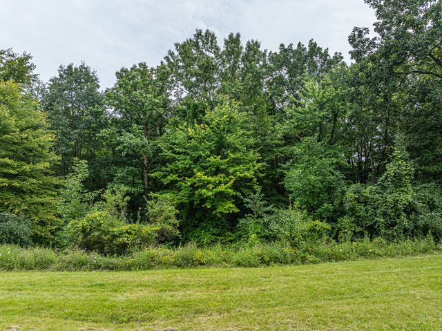 7513 Maple Ridge Dr, Clarkston, MI 48346 - view of wooded area