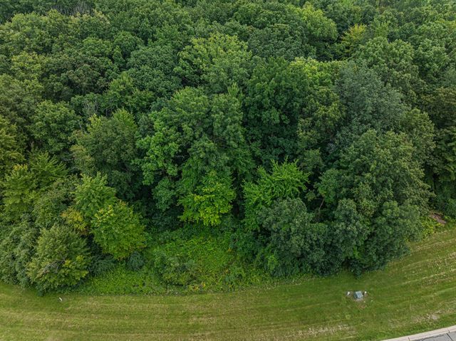 7513 Maple Ridge Dr, Clarkston, MI 48346 - aerial view of a forest