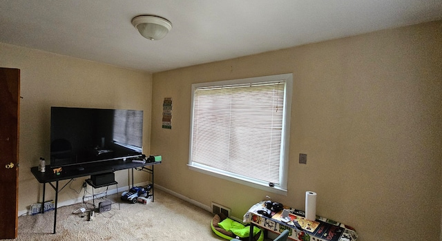 miscellaneous room featuring a healthy amount of sunlight and carpet floors