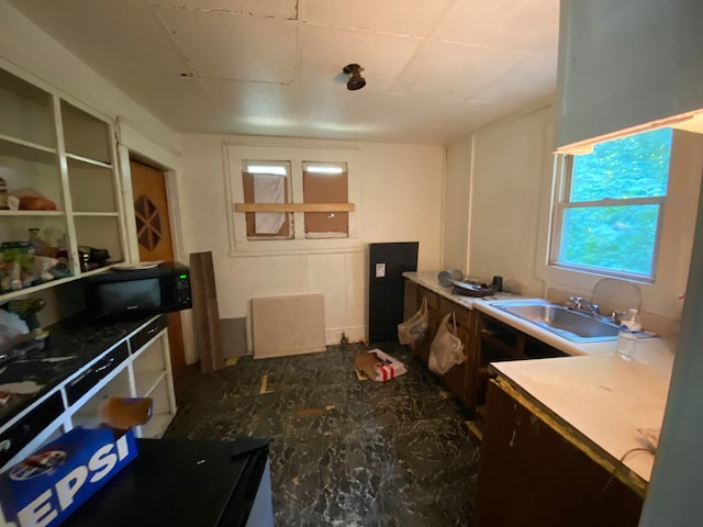 kitchen featuring dark brown cabinets and sink