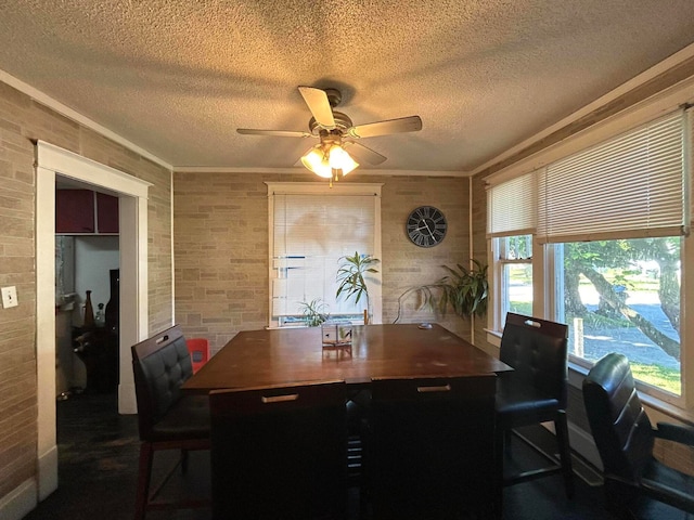 dining room featuring ceiling fan, ornamental molding, and a textured ceiling