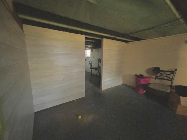 basement with wood walls