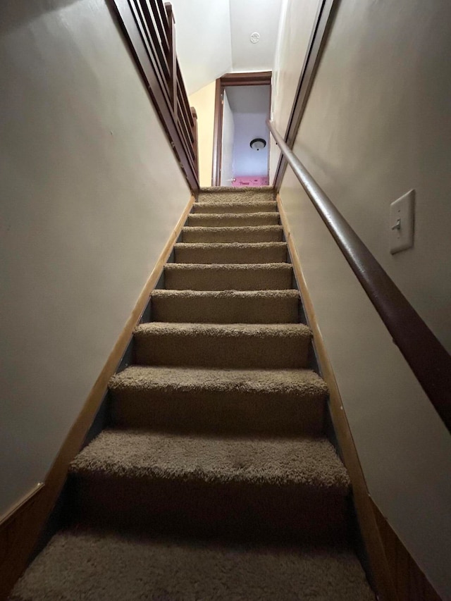 staircase featuring carpet